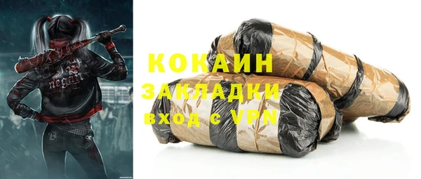 шишки Баксан
