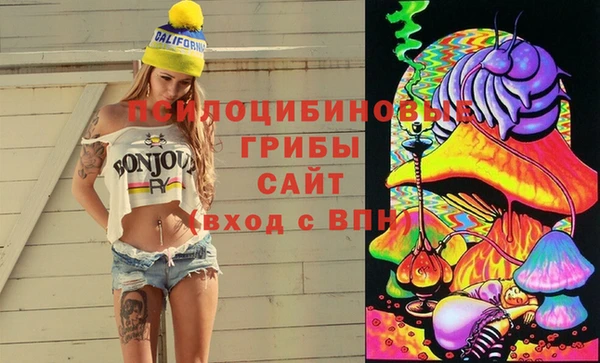 шишки Баксан