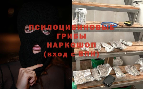 шишки Баксан